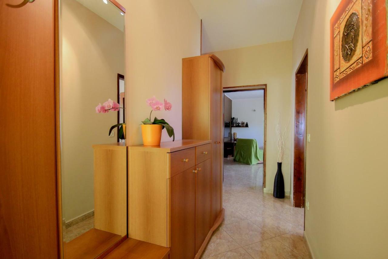 Apartment Sanja Novigrad Istria Eksteriør billede