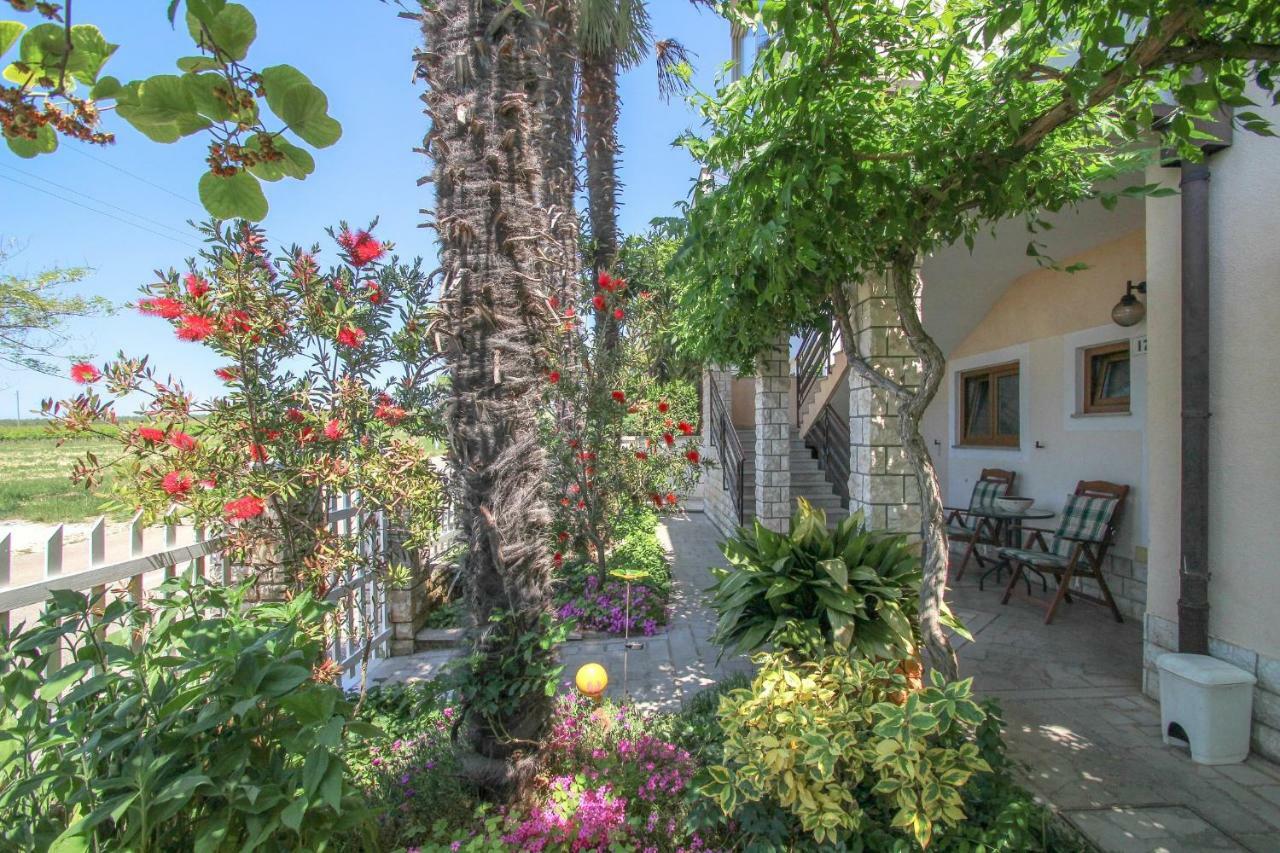 Apartment Sanja Novigrad Istria Eksteriør billede